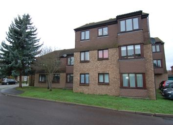 1 Bedroom  for rent