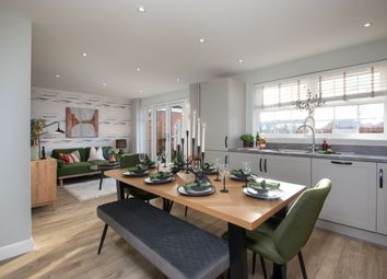 The Catkins Kirkdale Kitchen