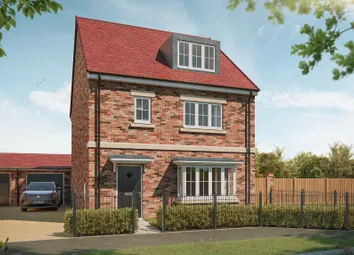 The Larkspur Plot 1