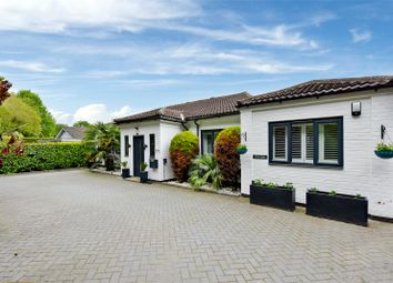 Thumbnail Bungalow to rent in Forest Lane, East Horsley, Leatherhead, Surrey