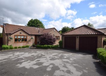 Thumbnail Detached bungalow for sale in Home Meadows, Tickhill, Doncaster