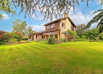 Thumbnail Bungalow for sale in Green End, Gamlingay, Sandy, Bedfordshire