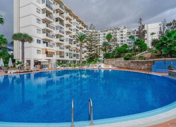 Thumbnail 1 bed apartment for sale in Playa De Las Americas, El Dorado, Spain