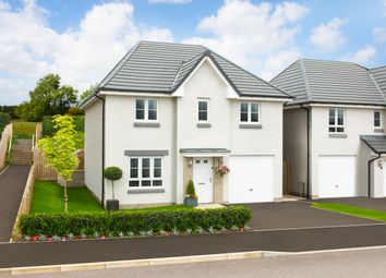 Thumbnail Detached house for sale in "Fenton" at Clepington Road, Dundee