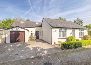 Thumbnail Bungalow for sale in Newton Lane, Old Windsor