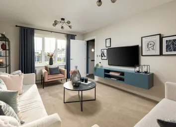 Showhome Photography