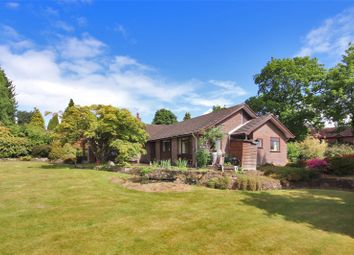 Thumbnail 4 bed bungalow for sale in Southview Road, Crowborough, East Sussex