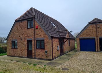 Thumbnail Detached house to rent in The Avenue, East Ravendale