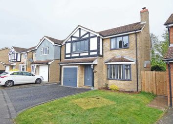 Thumbnail Detached house for sale in Thistledown Drive, Ixworth, Bury St Edmunds