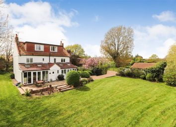 Thumbnail Detached house for sale in Burgh Road, Burgh St. Peter, Beccles