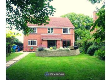 Thumbnail Detached house to rent in William Street, Loughborough