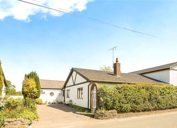 Property listing in Mold, Flintshire