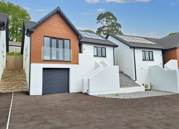 Thumbnail Detached house for sale in Martinique Gardens, Torquay