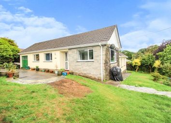 Thumbnail Bungalow to rent in Kingswood Meadow, Holsworthy