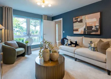Showhome Photography