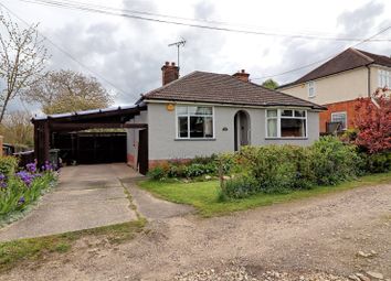 Braintree - Bungalow for sale                    ...