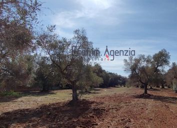 Thumbnail Land for sale in Contrada Poggioreale, San Vito Dei Normanni, Puglia, Italy