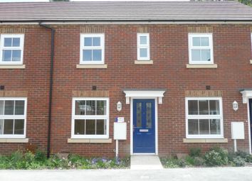 2 Bedroom  for rent