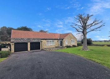 Thumbnail 4 bed bungalow to rent in Martin Grove, Wakefield