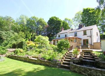 Thumbnail 5 bedroom detached house for sale in Mill Road, Eckington, Sheffield, Derbyshire