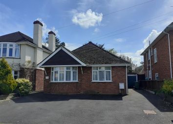 Thumbnail Bungalow to rent in Holway Avenue, Taunton