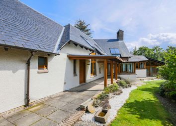 Thumbnail Detached house to rent in Sillerton, Invergowrie, Dundee