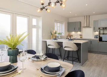 Dandara - Zoopla -