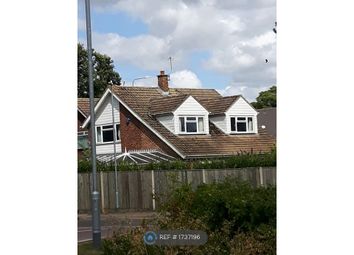 Thumbnail Detached house to rent in Maidstone, Maidstone