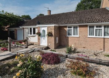 Thumbnail Bungalow for sale in Willowdale Close, Honiton