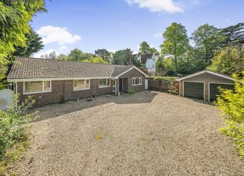 Thumbnail 3 bed bungalow for sale in Church Road, Upper Farringdon, Alton, Hampshire