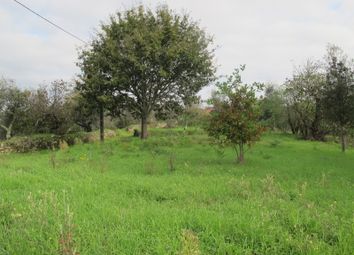 Thumbnail Land for sale in Torneira, Pedrógão Grande (Parish), Pedrógão Grande, Leiria, Central Portugal