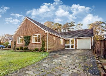 Thumbnail 3 bed detached bungalow to rent in Vale Close, Lower Bourne, Farnham, Surrey