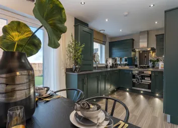 Showhome Photography