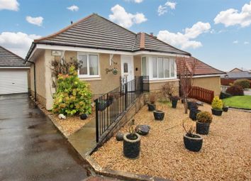 Thumbnail Detached bungalow for sale in Spring Walk, Lesmahagow, Lanark