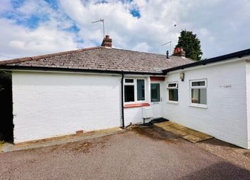 Thumbnail Bungalow to rent in Sparrows Green, Wadhurst