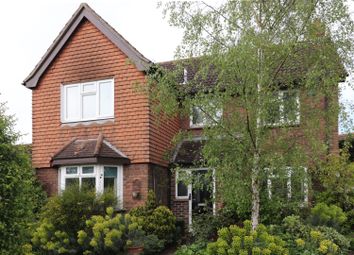 Thumbnail Detached house for sale in Pollards Green, Springfield, Chelmsford