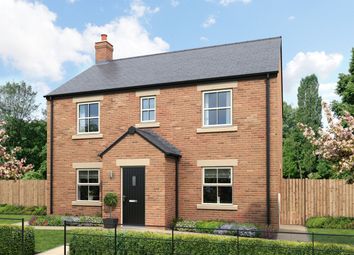 Thumbnail 4 bedroom detached house for sale in Summerson Place, Darlington