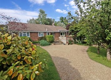Thumbnail 3 bed detached bungalow for sale in Hurtis Hill, Crowborough, East Sussex