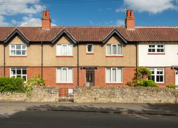 Thumbnail 3 bed terraced house for sale in Prior Terrace, Corbridge