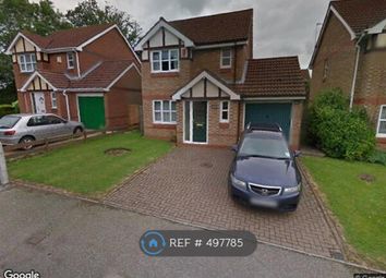 1 Bedroom  for rent