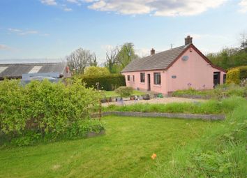 Thumbnail Cottage for sale in Thomas Chapel, Begelly, Kilgetty