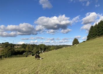 Thumbnail Land for sale in Marstow, Ross-On-Wye