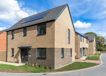 Plot 3