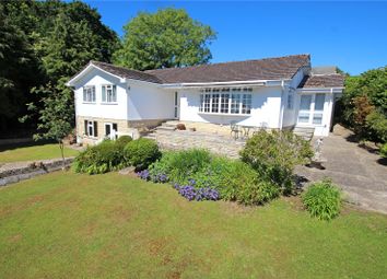 Thumbnail Bungalow for sale in Couchill Lane, Seaton