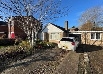 23 Brockwood 14.Jpg