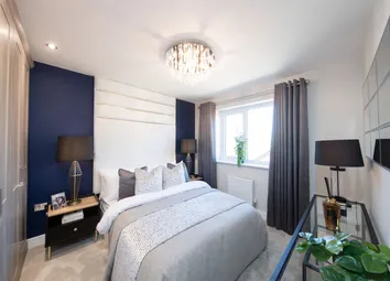 Showhome Photography
