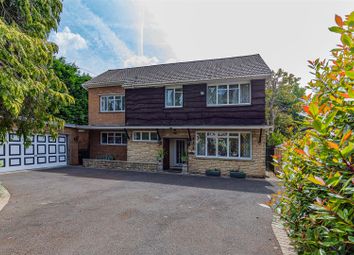 Hollybush Road 38-17.Jpg