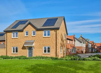 New Homes For Sale In Lewin Park