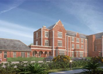 Fernhurst Cgi