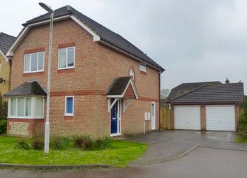 1 Bedroom Detached house for rent